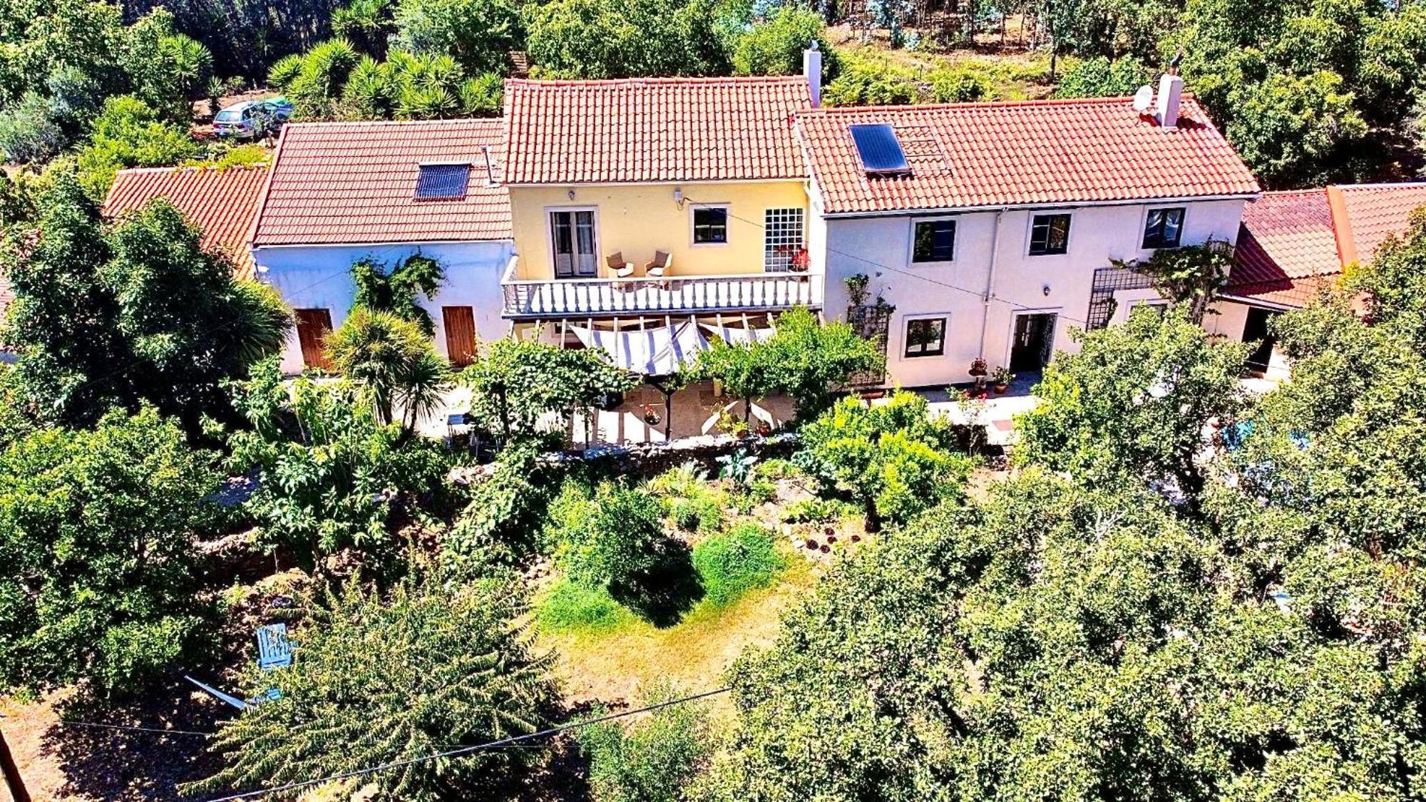 Alvaiázere Wellbeing Guesthouse Casa E Connosco מראה חיצוני תמונה