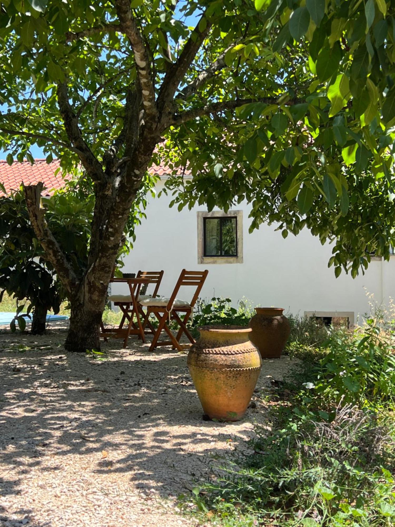 Alvaiázere Wellbeing Guesthouse Casa E Connosco מראה חיצוני תמונה