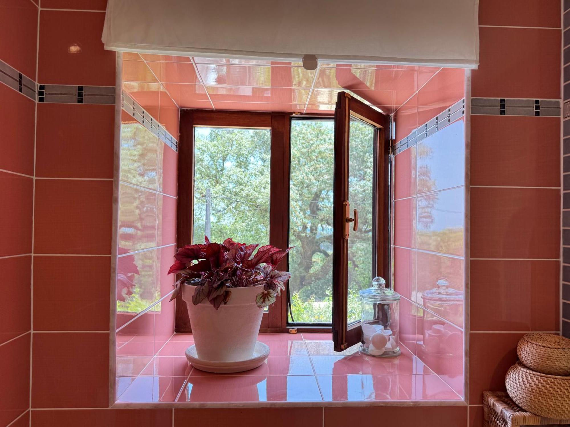 Alvaiázere Wellbeing Guesthouse Casa E Connosco מראה חיצוני תמונה