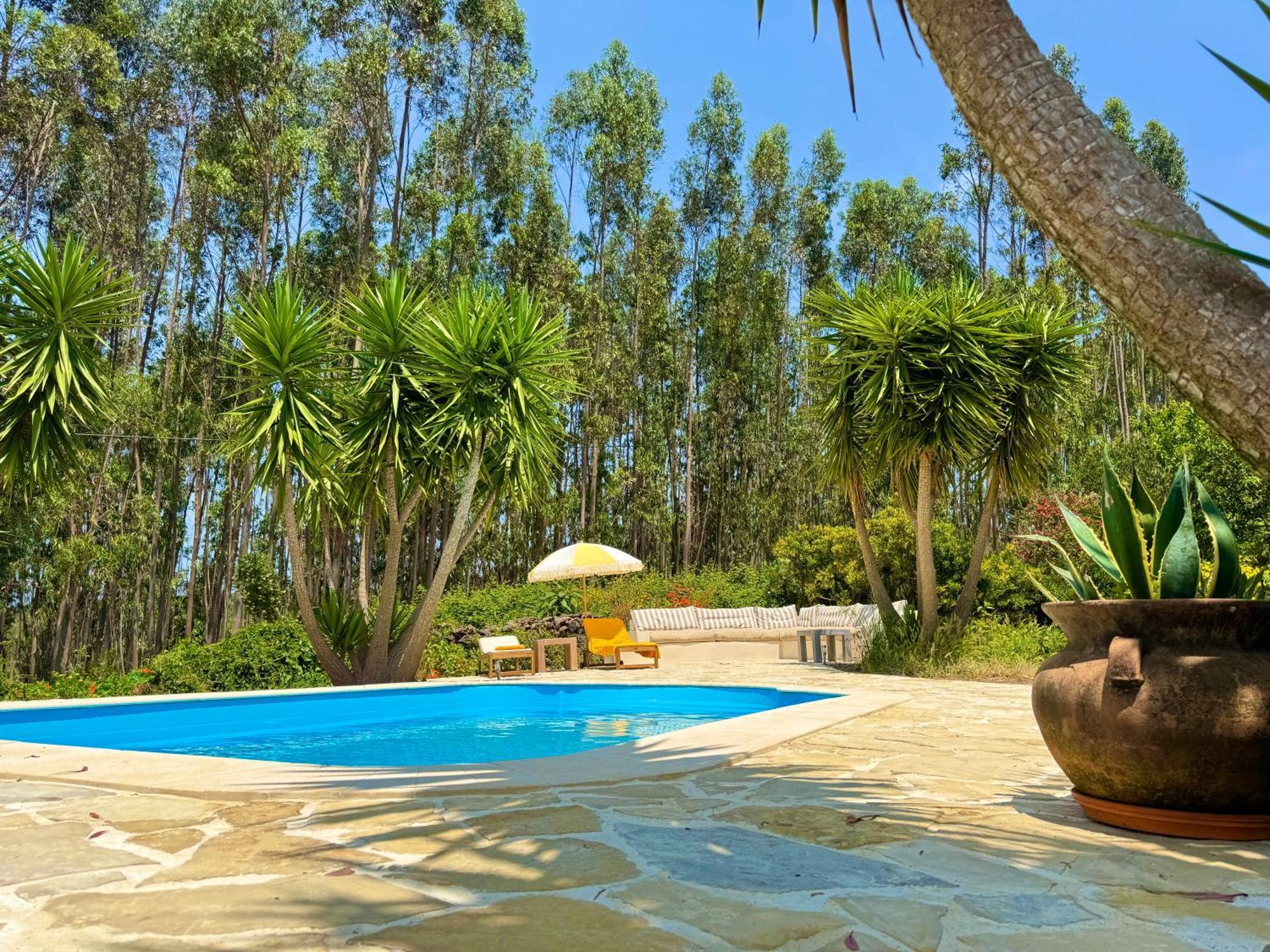 Alvaiázere Wellbeing Guesthouse Casa E Connosco מראה חיצוני תמונה