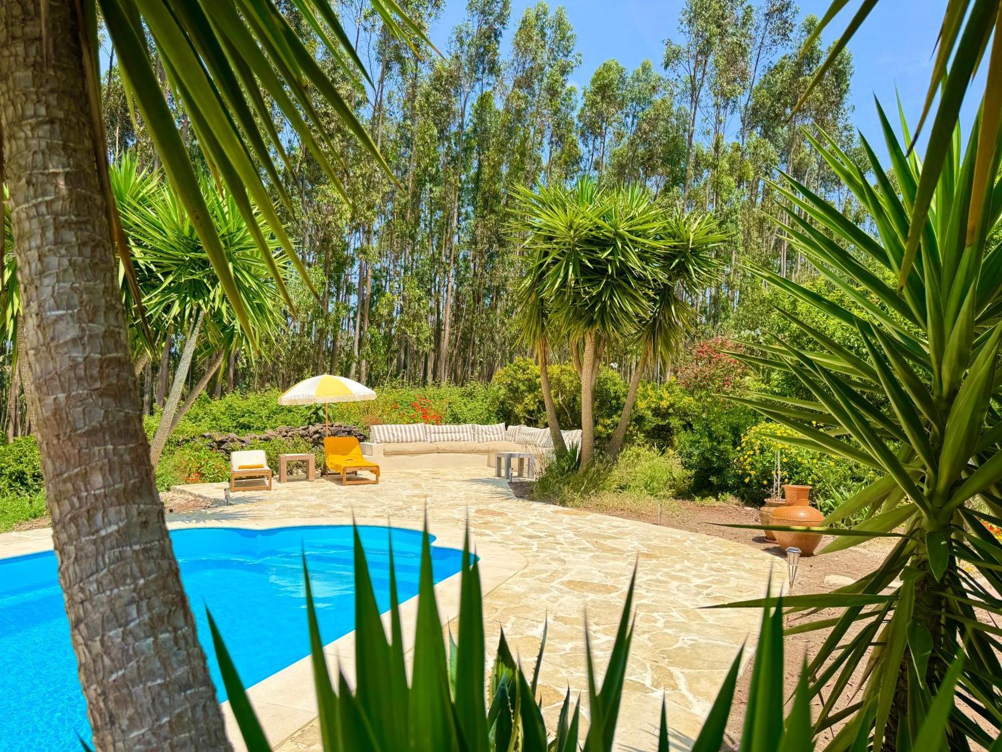 Alvaiázere Wellbeing Guesthouse Casa E Connosco מראה חיצוני תמונה